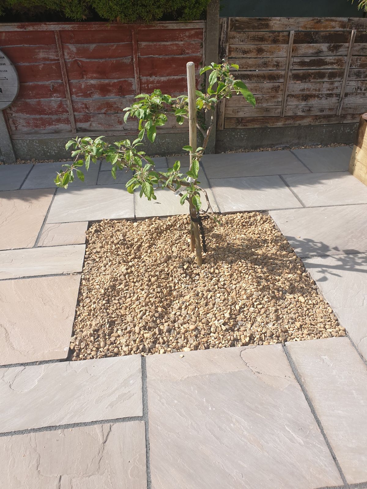 Stone patio with a gravel tree pit and a young tree