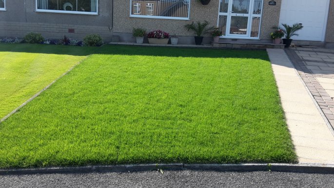 Lawn